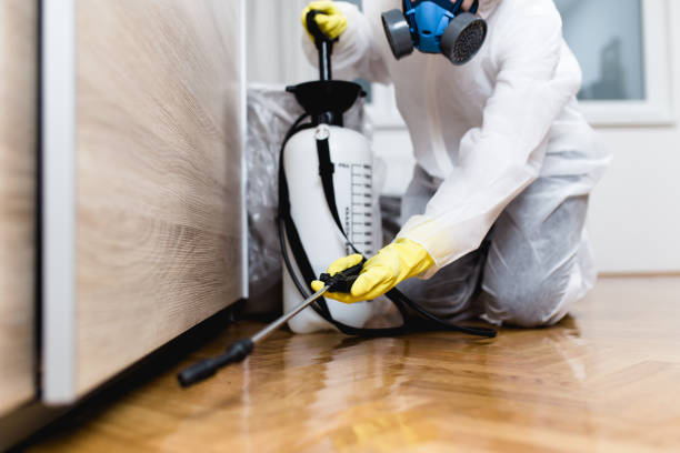 Best Emergency Pest Control  in Hawthorne, CA