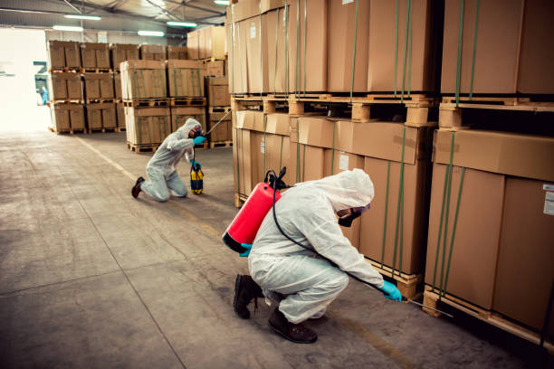 Best Wasp Removal Services  in Hawthorne, CA