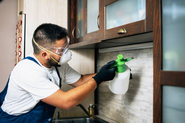 Best Affordable Pest Control Services  in Hawthorne, CA