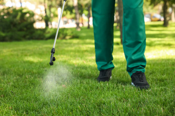 Best Best Pest Control Companies  in Hawthorne, CA