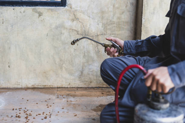 Reliable Hawthorne, CA Pest Control Solutions
